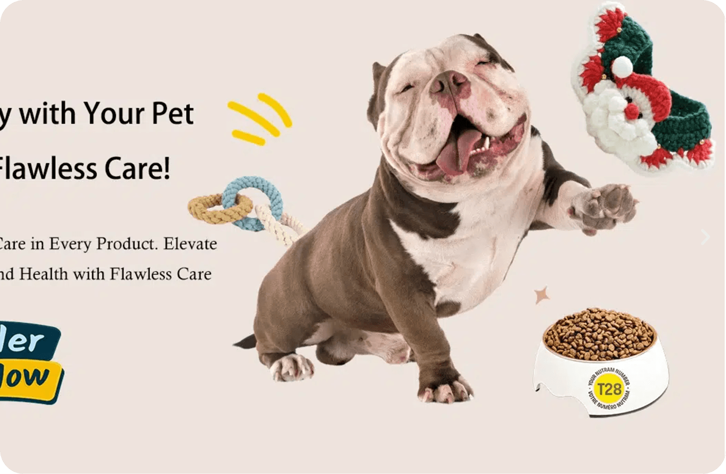 Pet Care