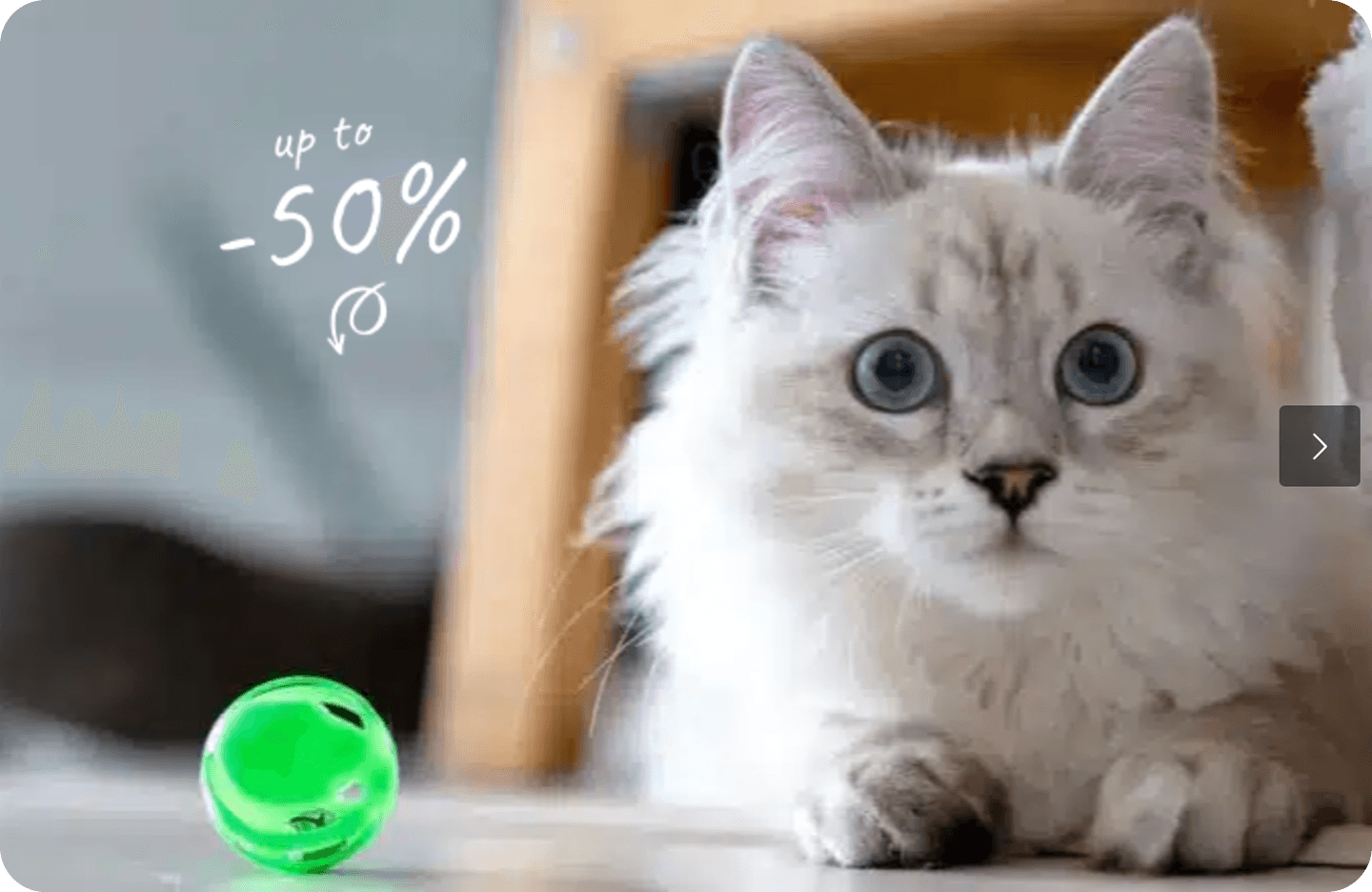 Pet E-Commerce